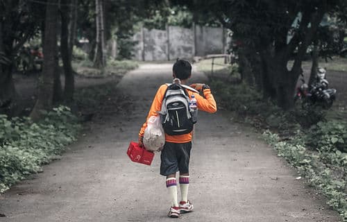 no info available for image